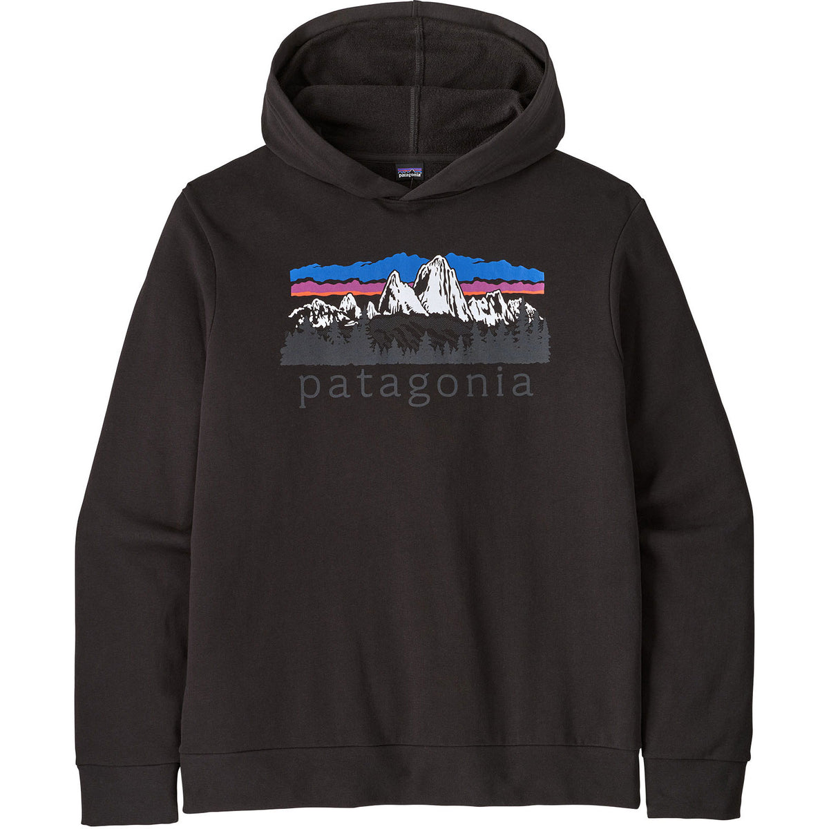 Patagonia Fitz Roy Foothills Daily Hoodie
