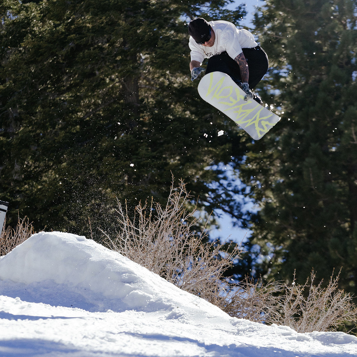 Bataleon Evil Twin Snowboard 2027