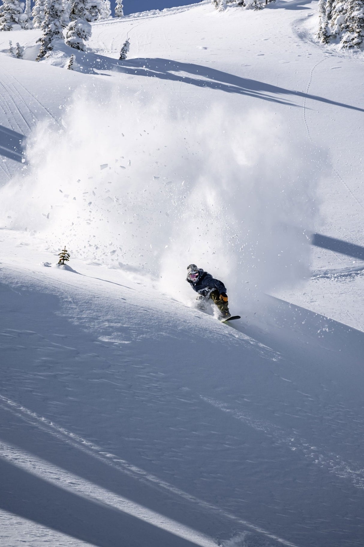 Capita The Matriarch Snowboard 2027 - The Snowboard Shop