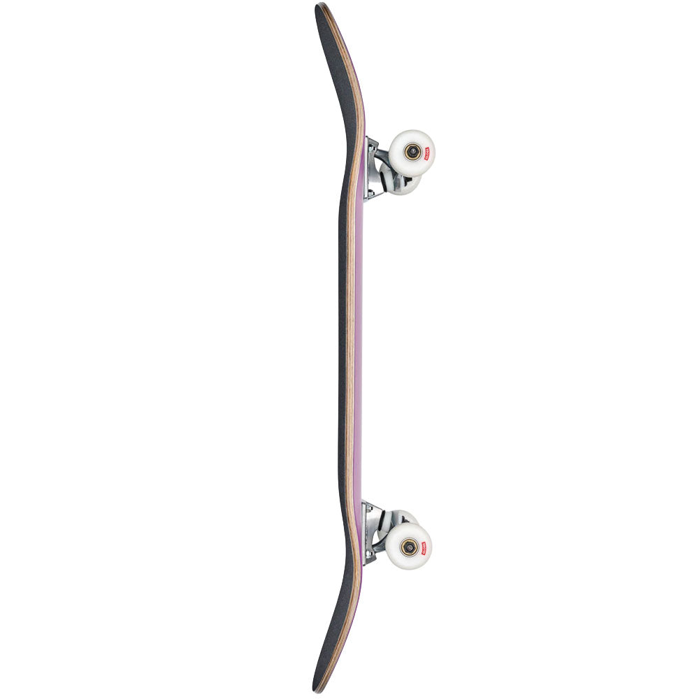 Globe Goodstock Complete Skateboard