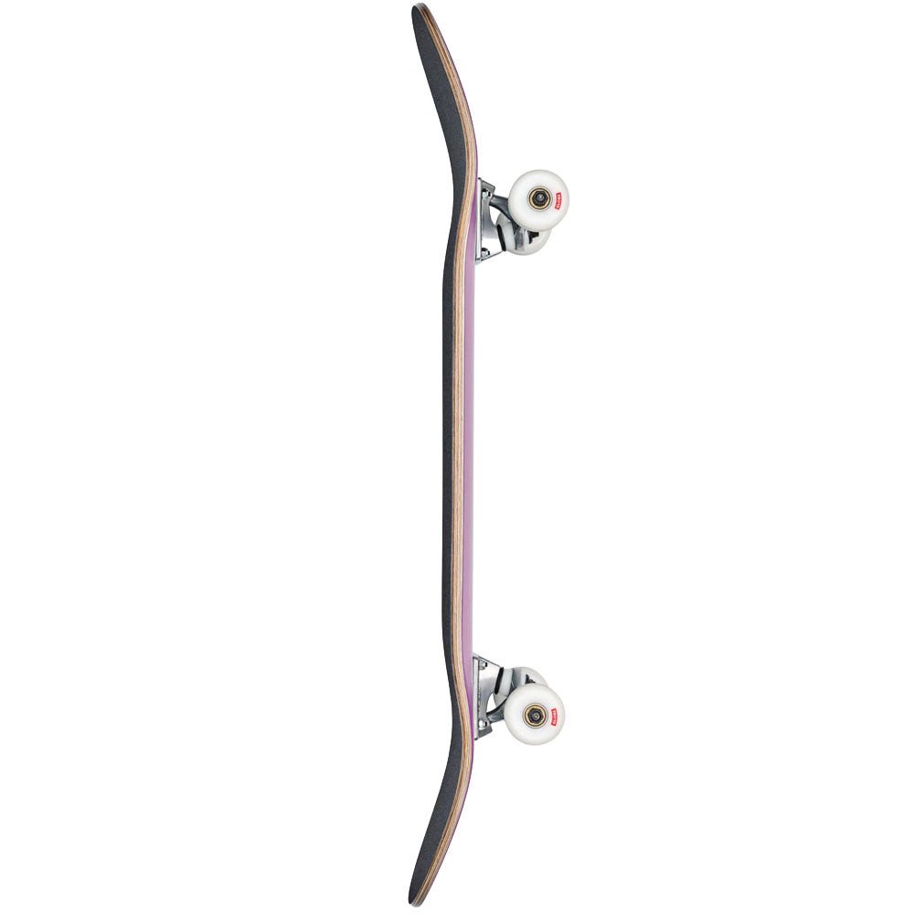 Globe Goodstock Complete Skateboard - The Snowboard Shop