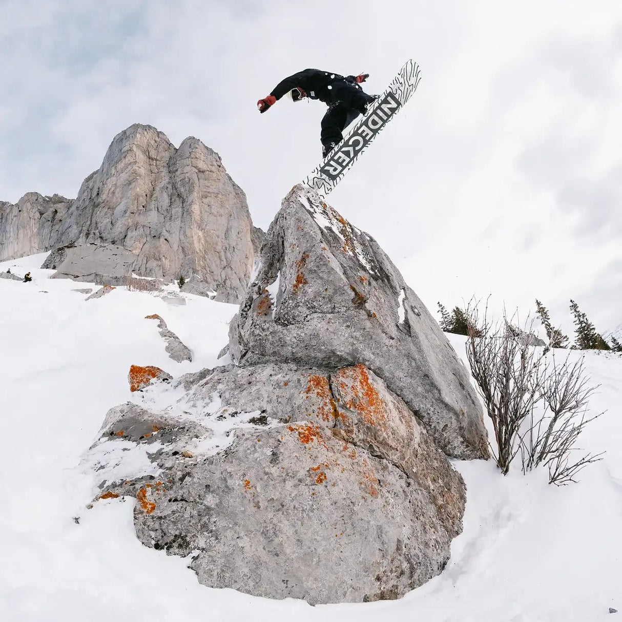 Nidecker Sensor Snowboard 2026 - The Snowboard Shop