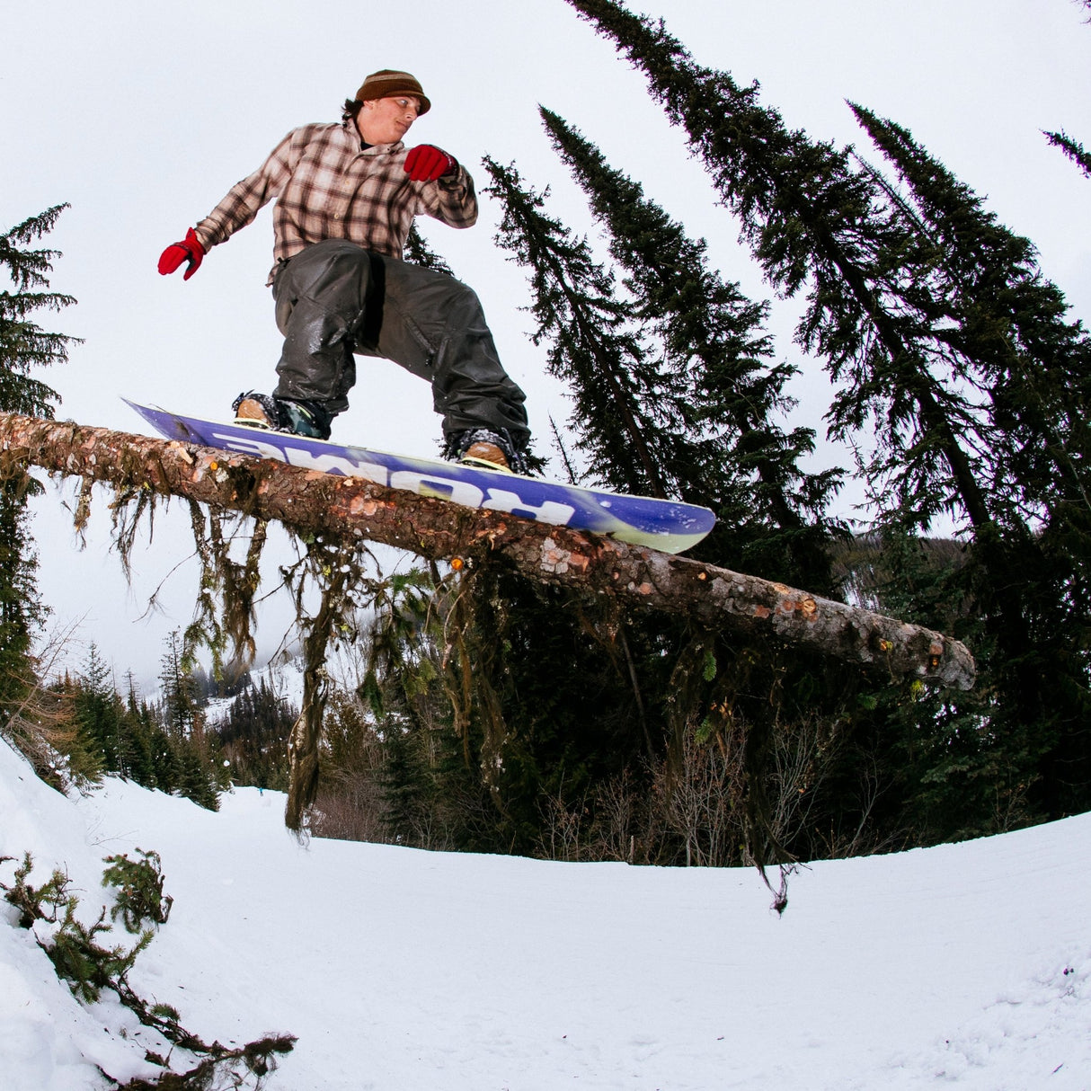 Rome Viper Snowboard 2027 - The Snowboard Shop
