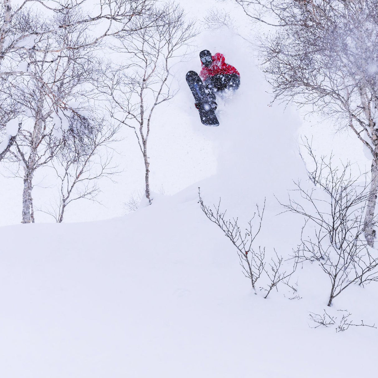 Bataleon ThunderStorm Snowboard 2027