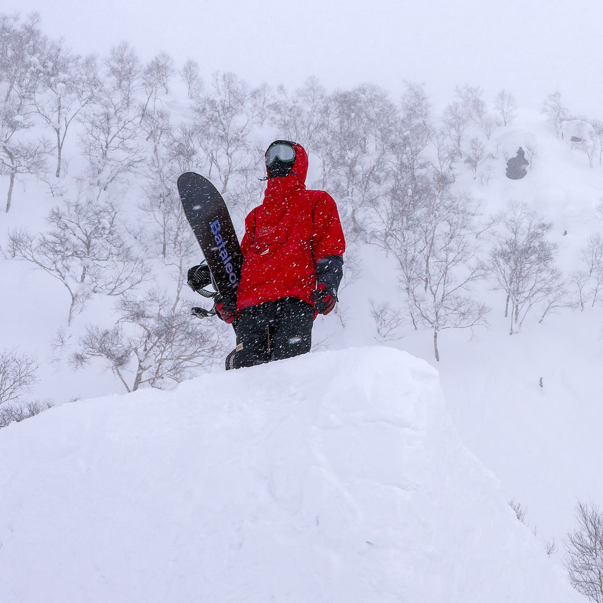 Bataleon ThunderStorm Snowboard 2027