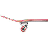 Birdhouse Hawk Falcon 4 DIY Kit Complete Skateboard - 8.25"
