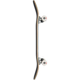 Globe G0 Pond Complete Skateboard