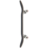 Globe Goodstock Complete Skateboard