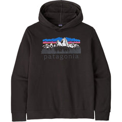 Patagonia Fitz Roy Foothills Daily Hoodie