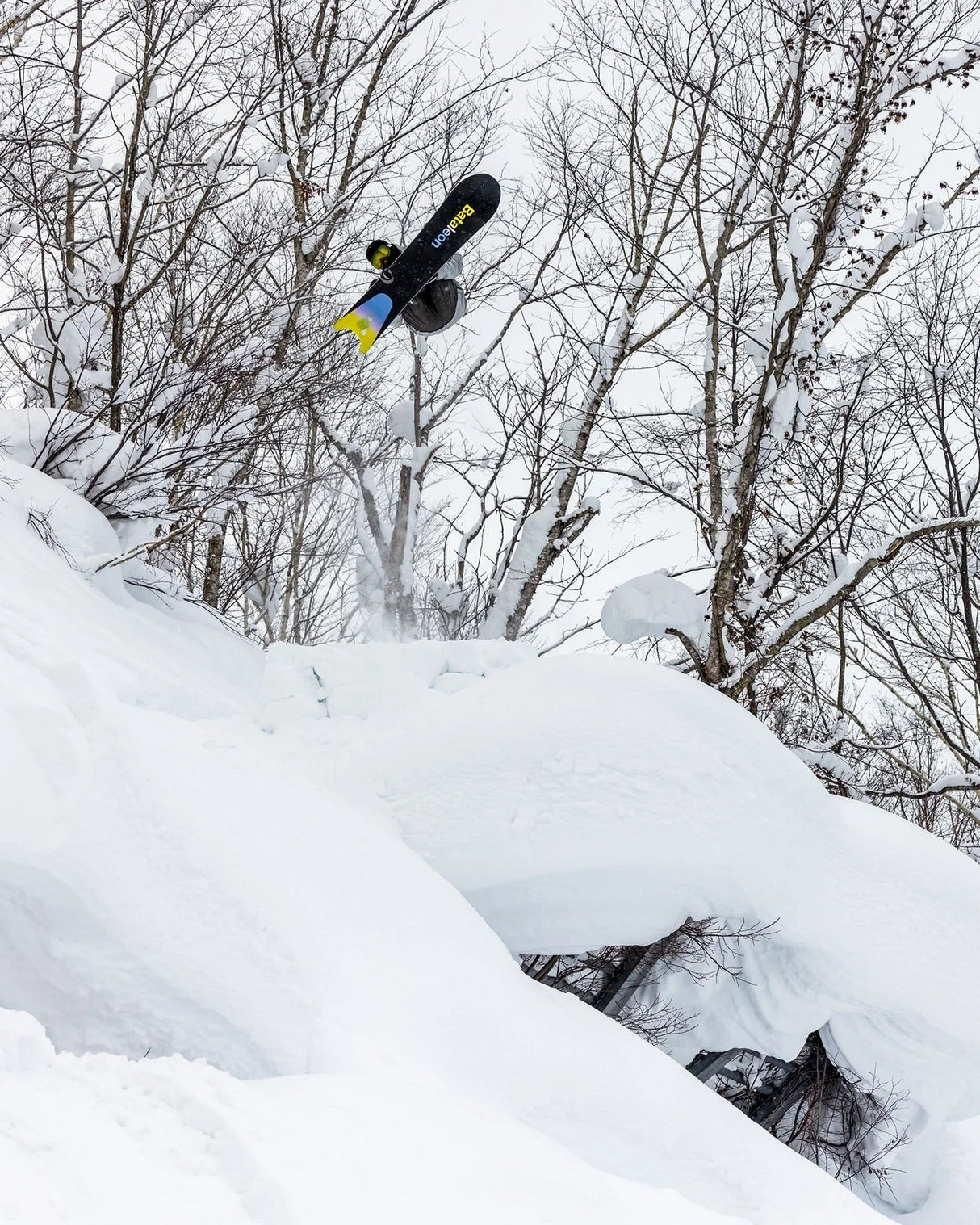 Bataleon Surfer Snowboard 2026 - The Snowboard Shop