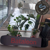 Bataleon Whatever Snowboard 2027 - The Snowboard Shop