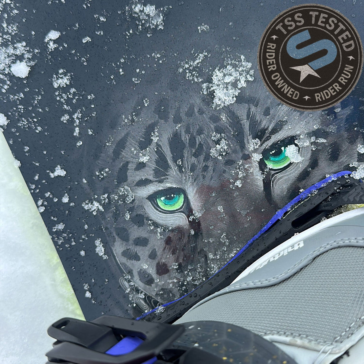 Capita The Matriarch Snowboard 2027 - The Snowboard Shop