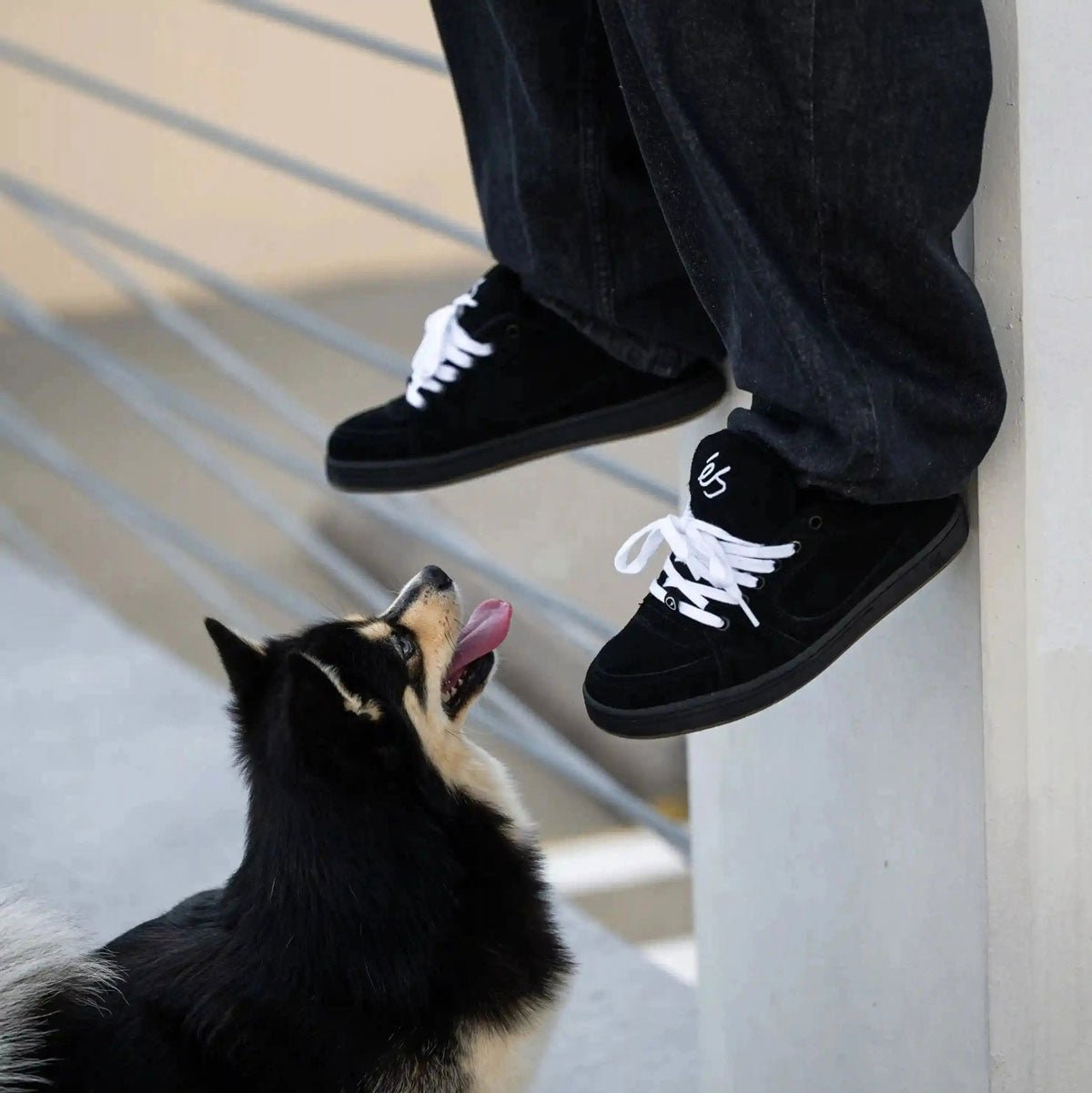 eS Accel Skate Shoes - The Snowboard Shop