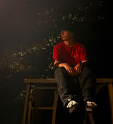 eS Accel Skate Shoes - The Snowboard Shop