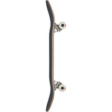 Globe Goodstock Complete Skateboard - The Snowboard Shop