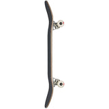 Globe Goodstock Complete Skateboard - The Snowboard Shop