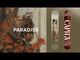 Capita Paradise Women's Snowboard 2026