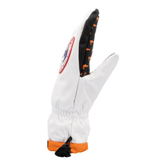 Salmon Arms Team Mitt - The Snowboard Shop