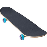 Santa Cruz Screaming Hand Mini Complete Skateboard - 7.75" - The Snowboard Shop